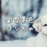 Current Track Thumbnail