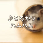 Current Track Thumbnail