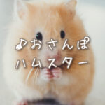 Current Track Thumbnail